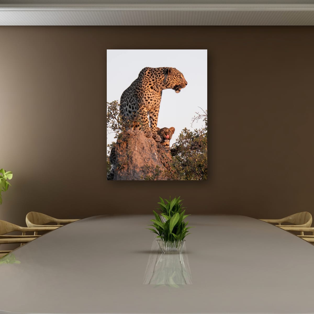 Leopard Role Modelling