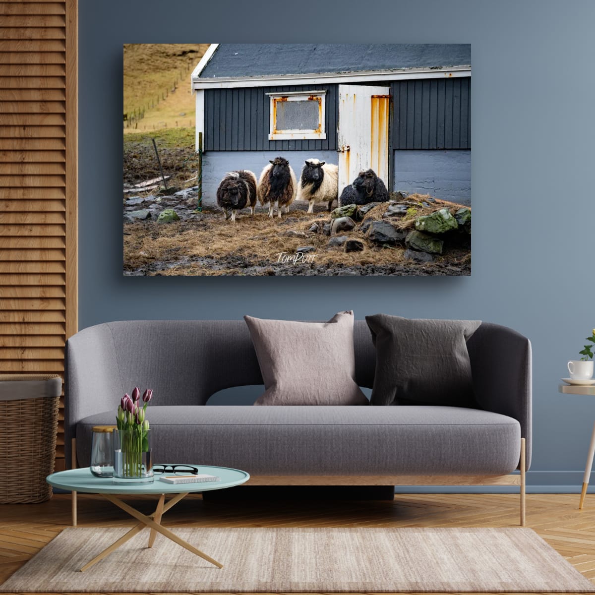 Faroe Island Flock