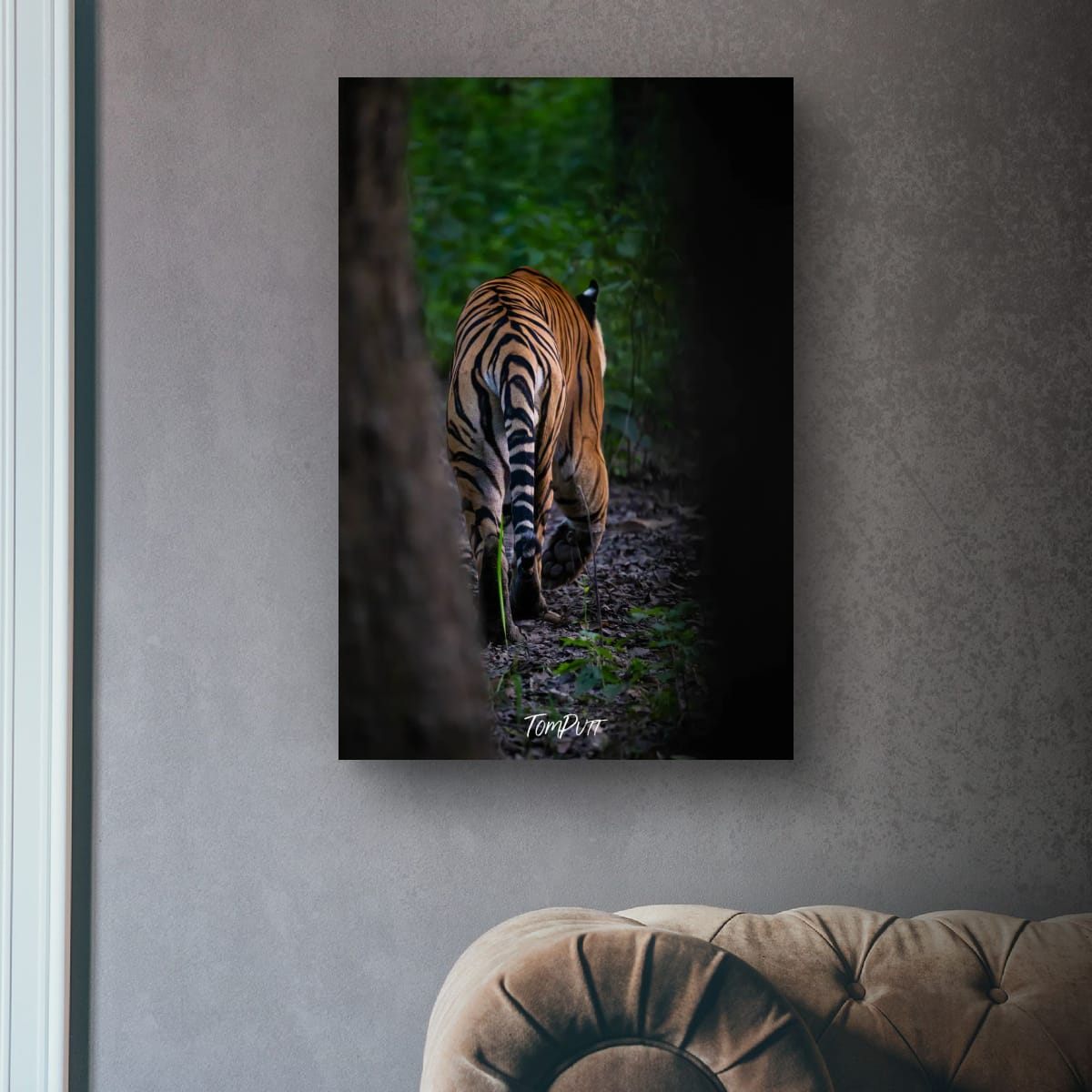 A Tiger's Exit, India