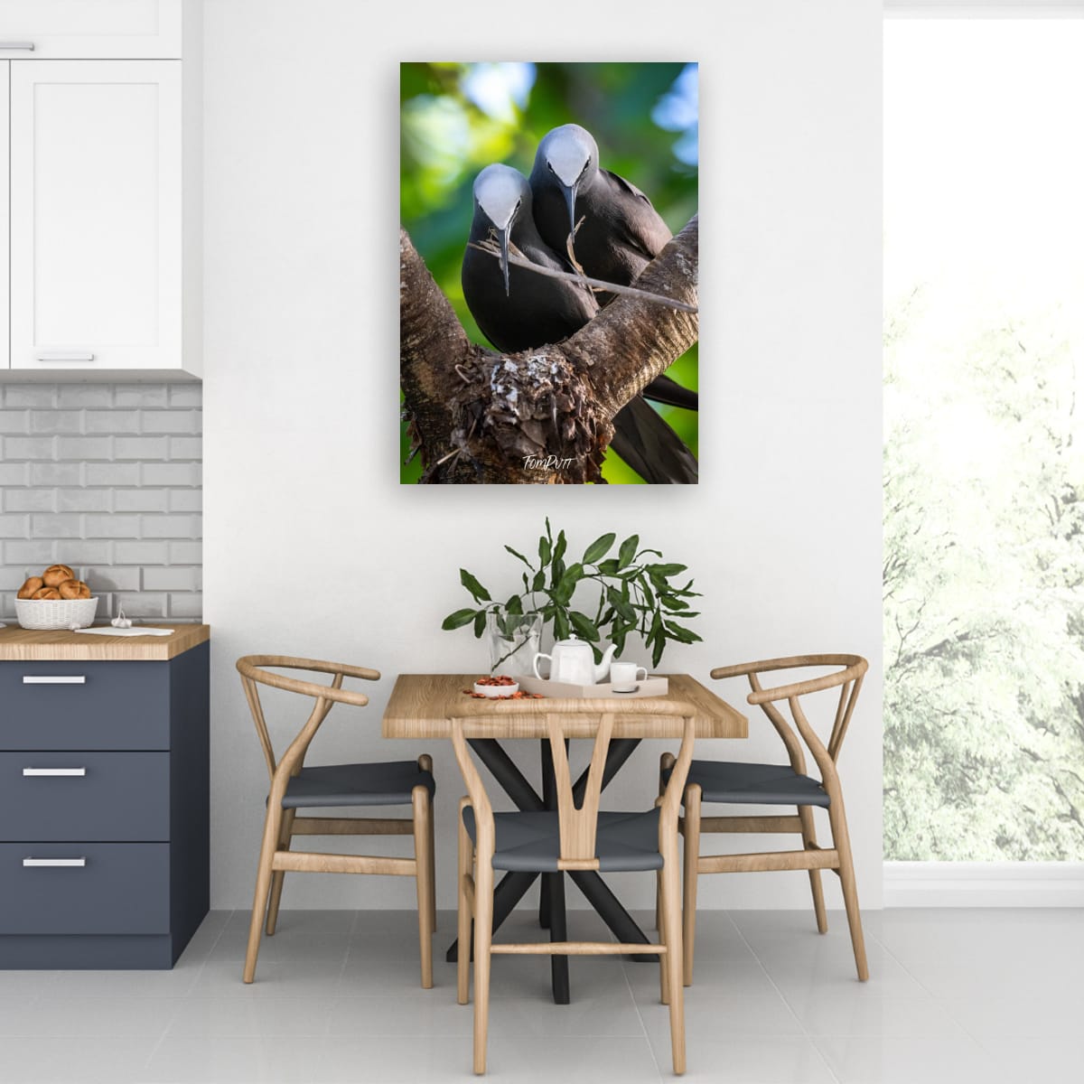 Wilson Island Duo: Two Black Noddies