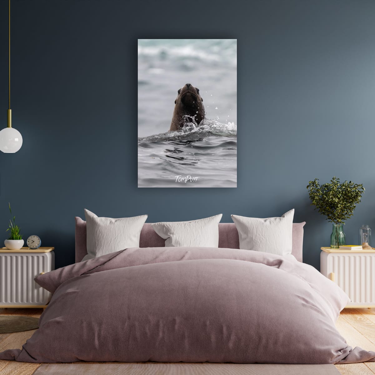 Curious Rising: Sea Lion