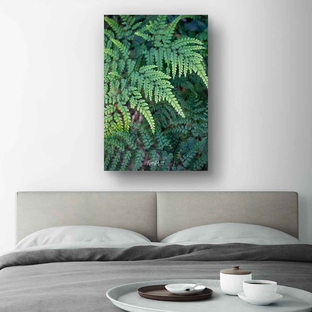 Shades of Green, Carnarvon Gorge