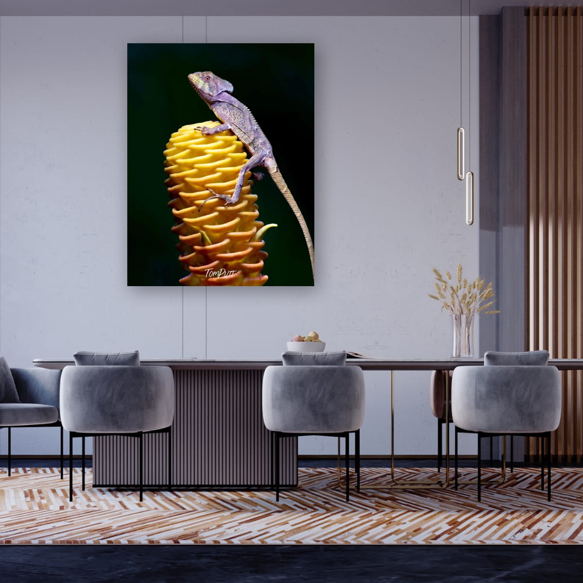 Helmeted Lizard, Costa Rica