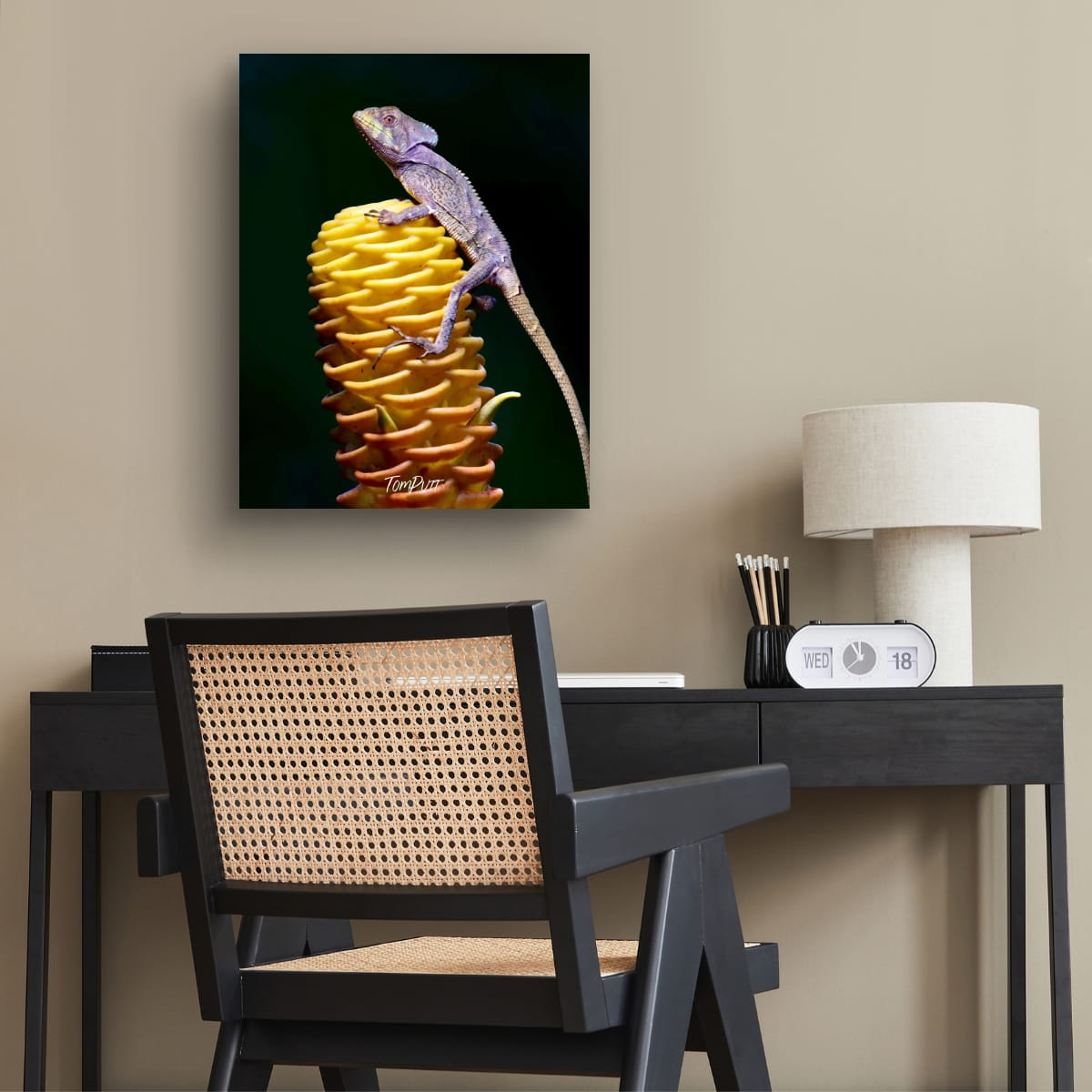 Helmeted Lizard, Costa Rica