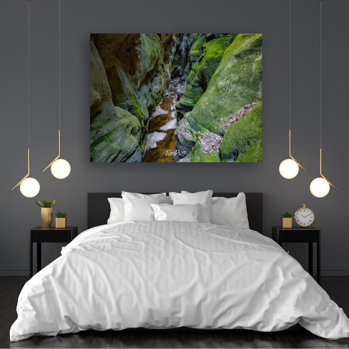 Between Moss-Draped Walls, Carnarvon Gorge