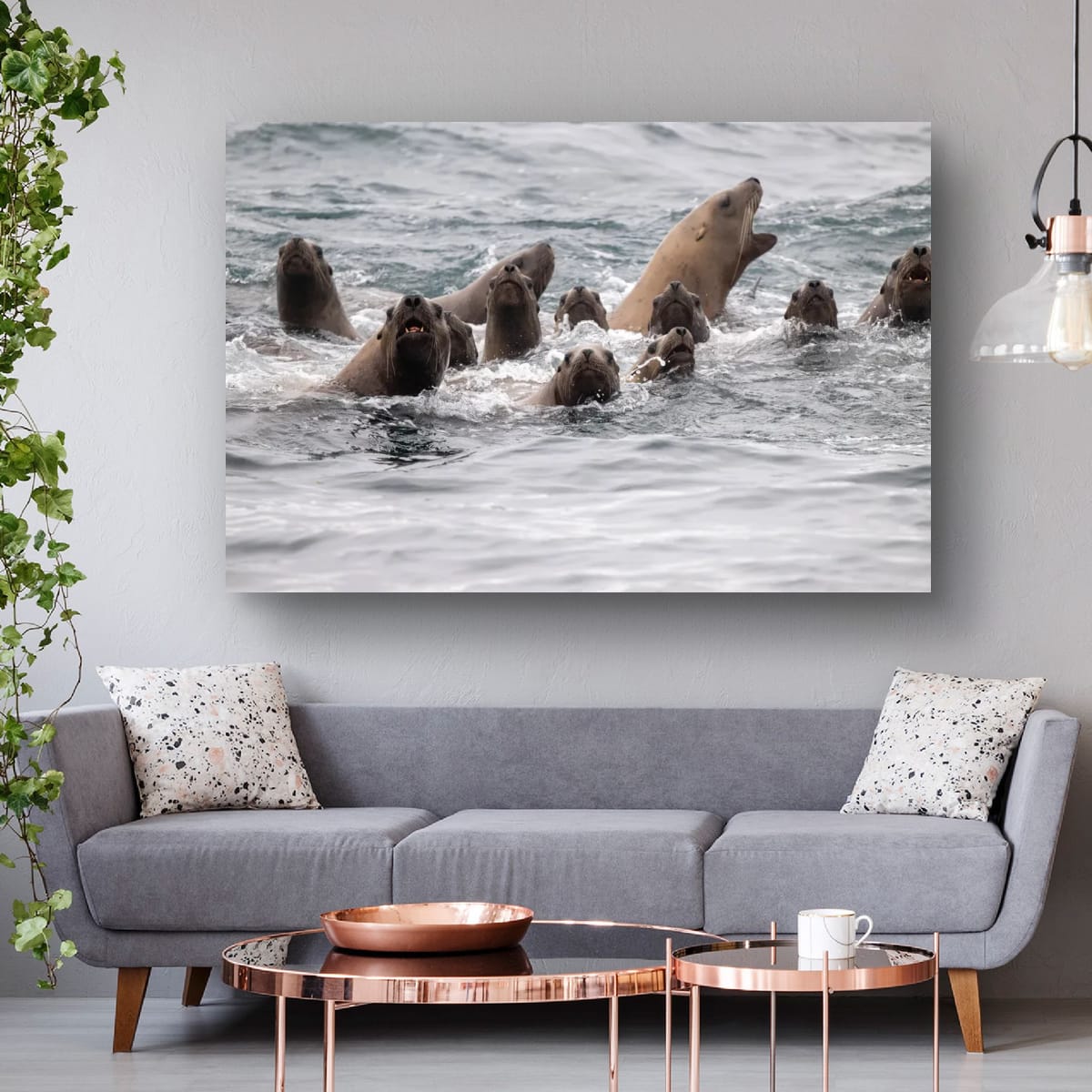 Coaching the Team: Sea Lions