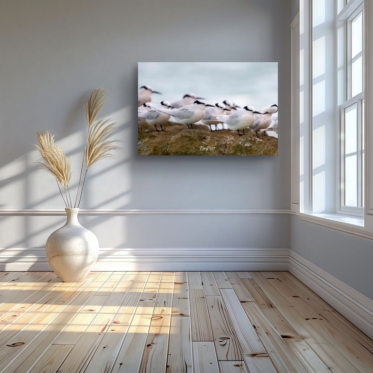 Heron Island Gathering: Black-Napped Terns