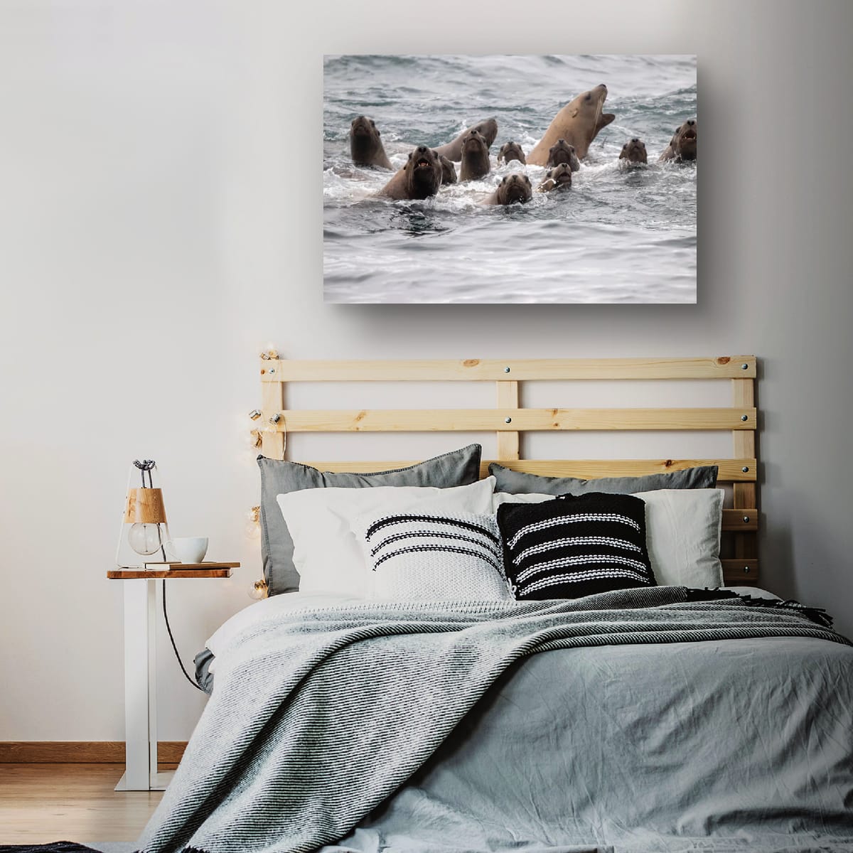 Coaching the Team: Sea Lions