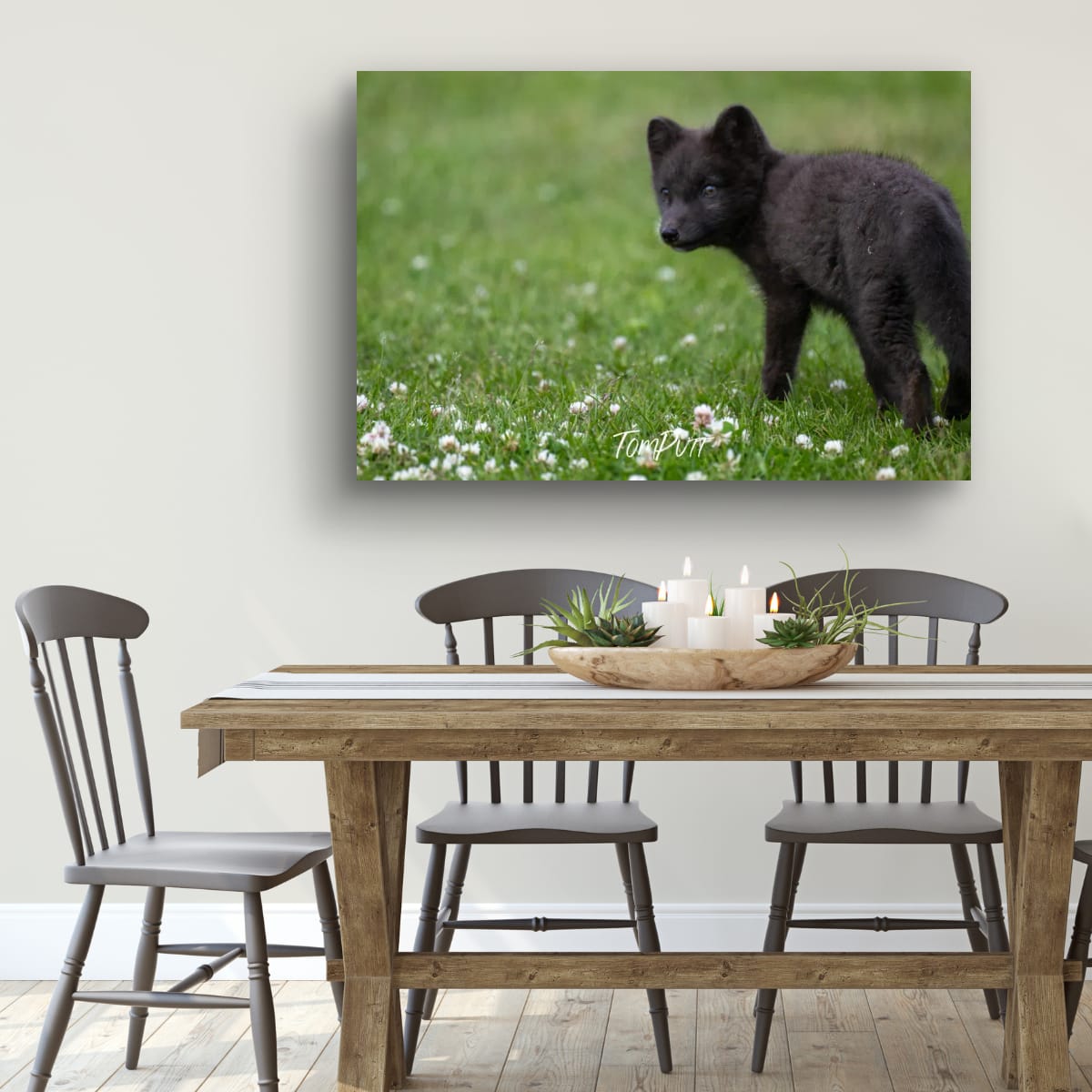 Look Back. Arctic Fox Cub