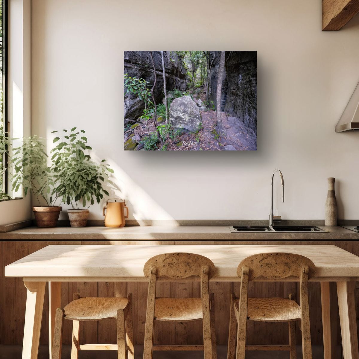 Carnarvon Gorge Path