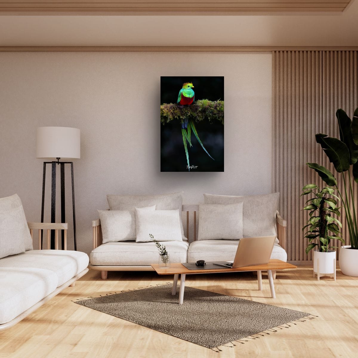 Resplendent Quetzal #2, Costa Rica