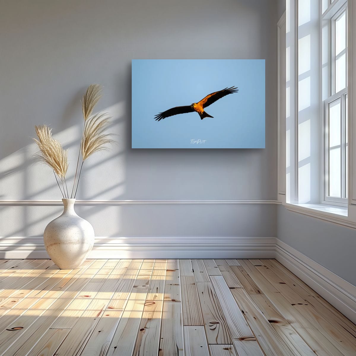 In the Gaze of the Black Kite