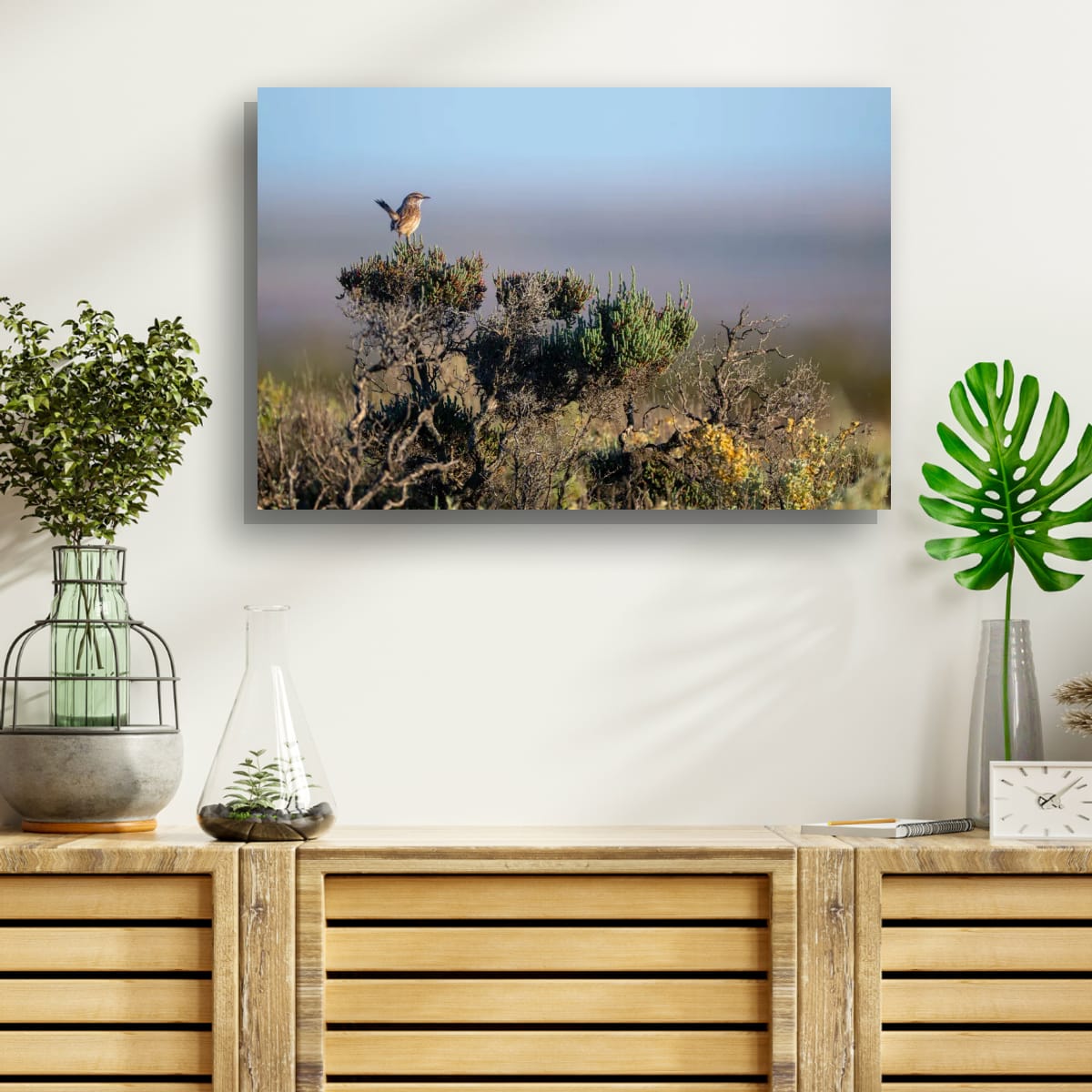 Sea Lake Perch. Rufous Fieldwren