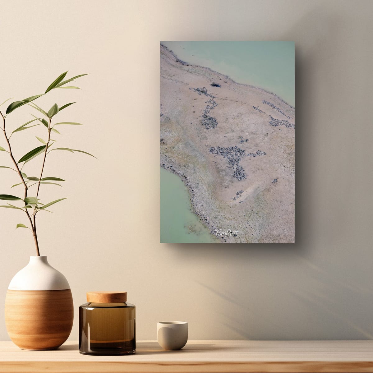 A Gathering of Birds, Lake Eyre, SA