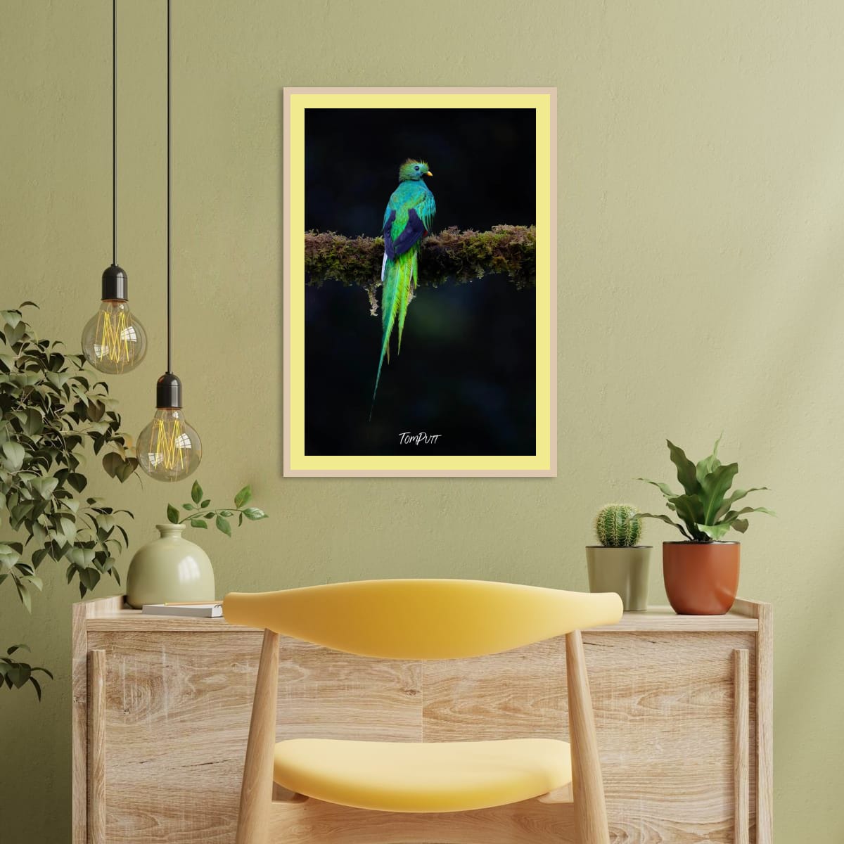 Resplendent Quetzal #3, Costa Rica