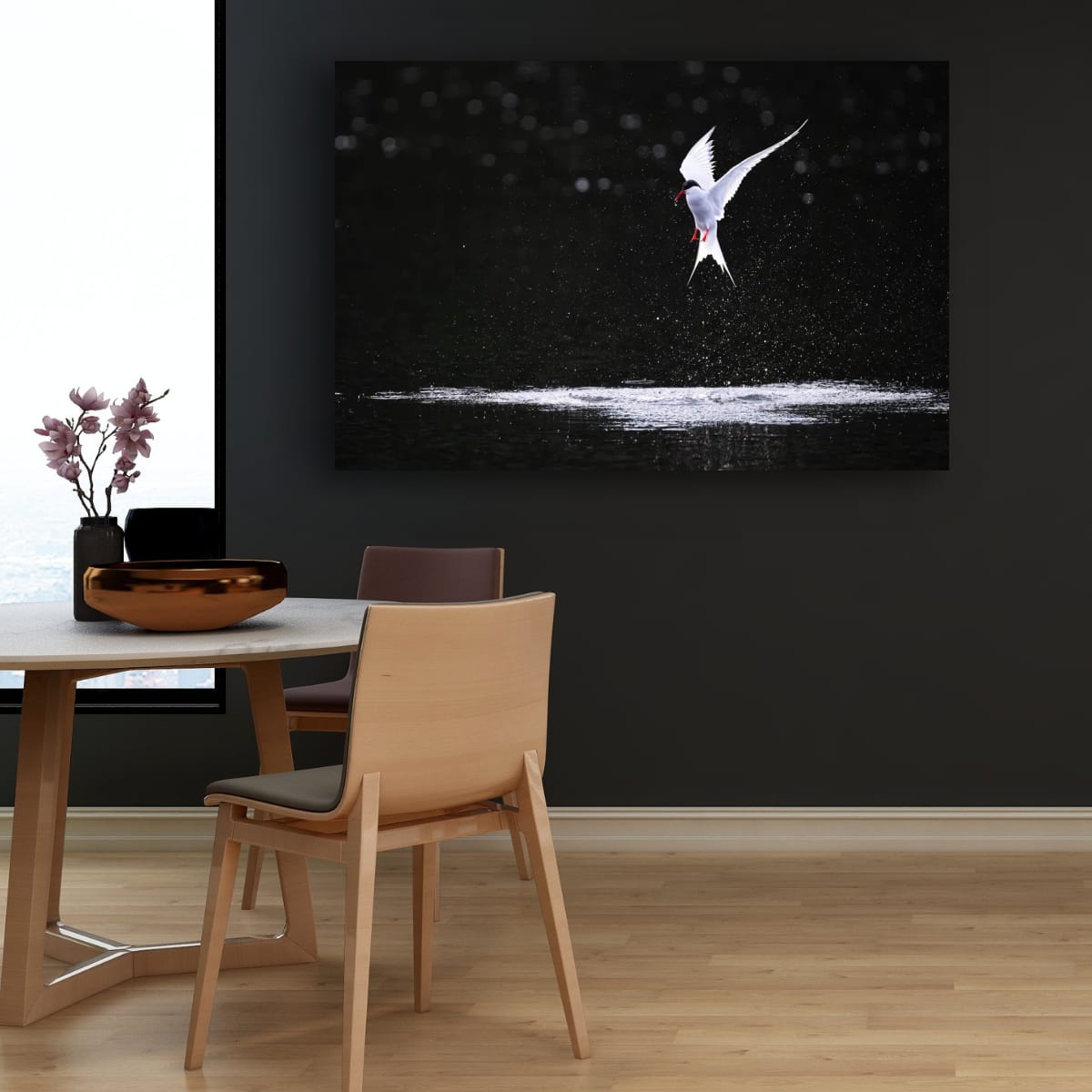 Aerial Dance. Arctic Tern