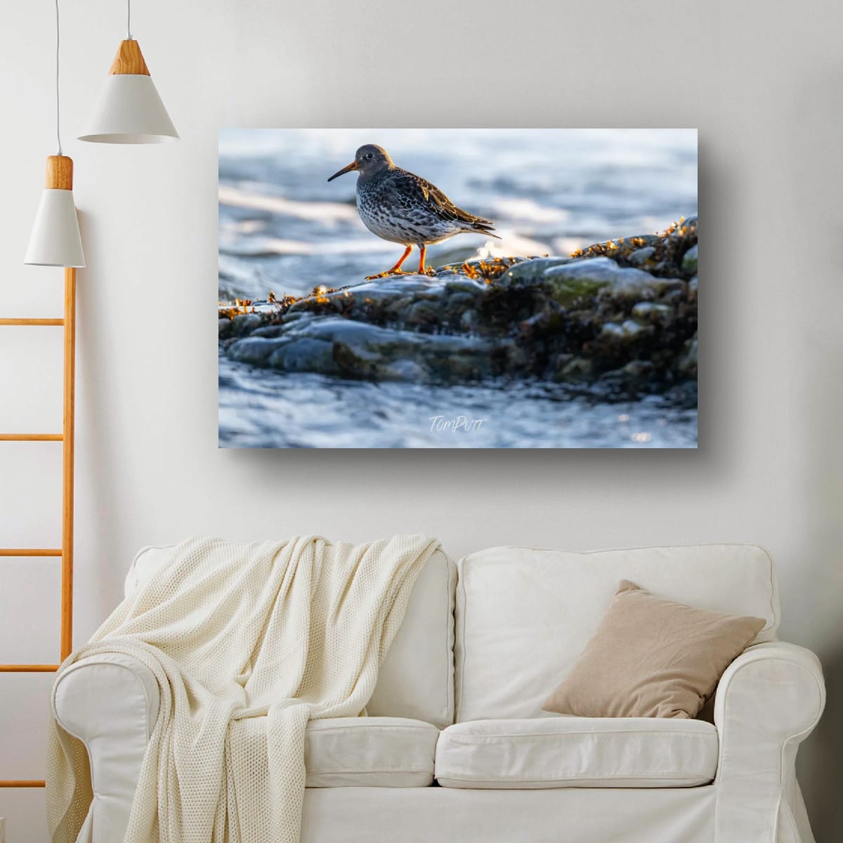Purple Sandpiper Lookout, Svalbard