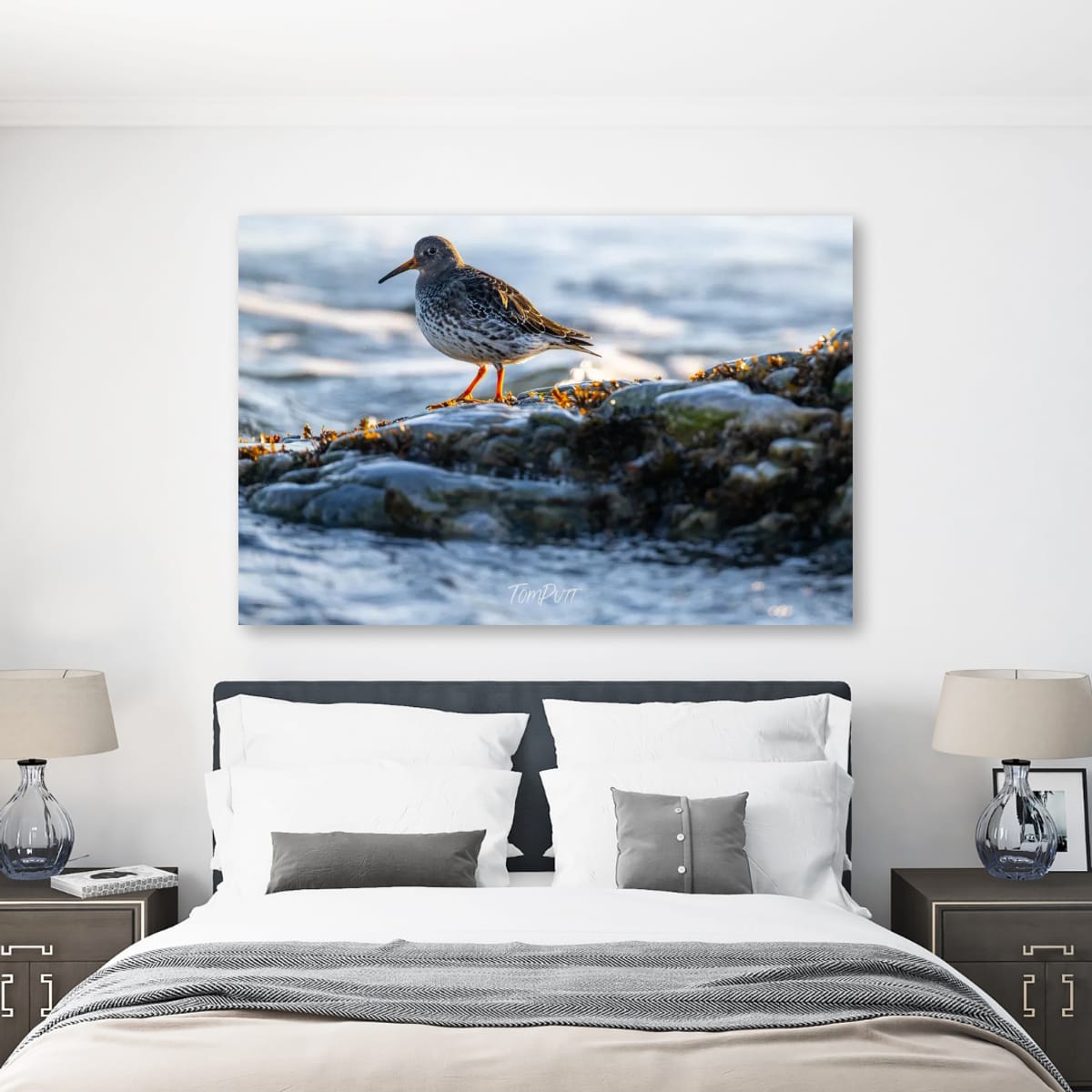 Purple Sandpiper Lookout, Svalbard