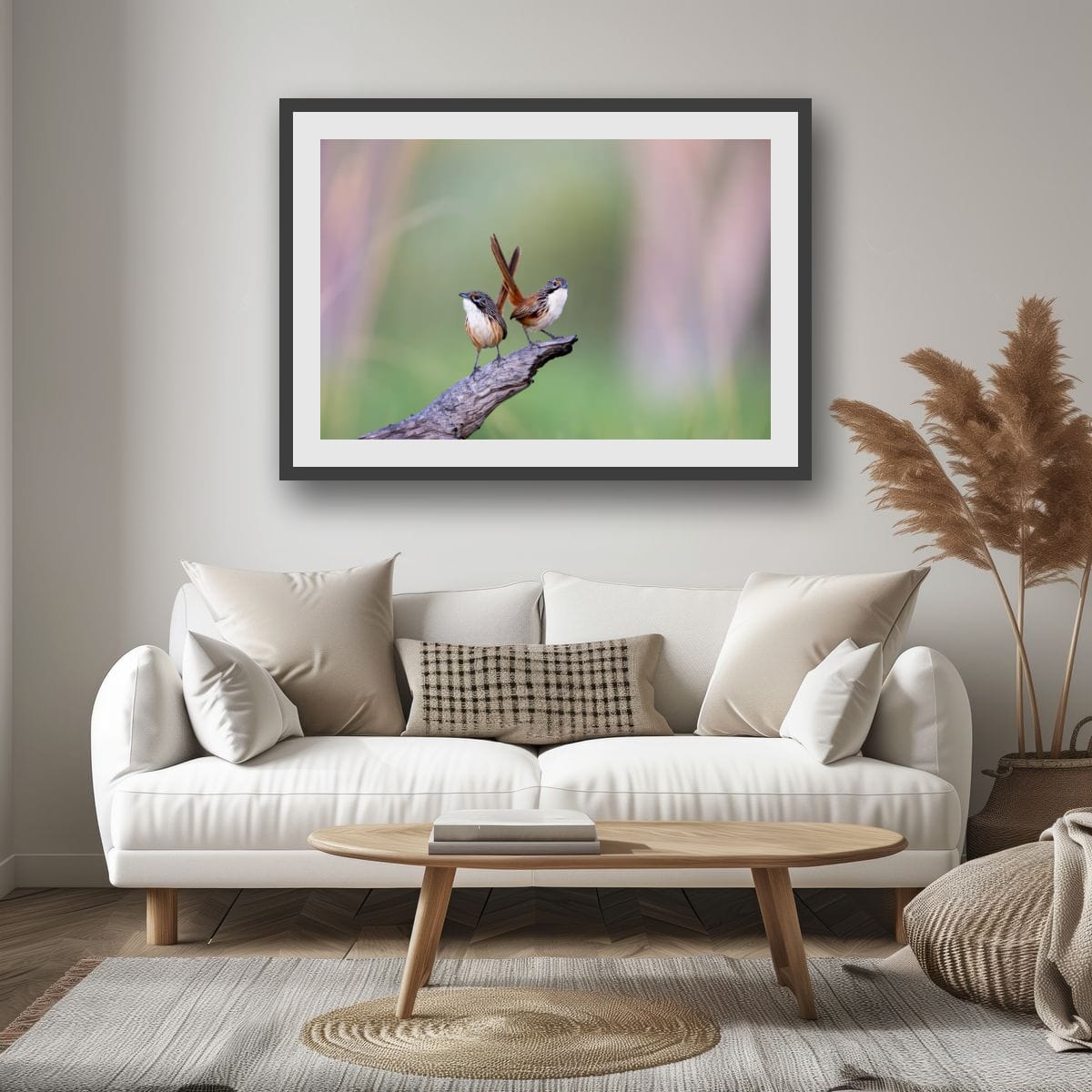 Perched Carpentarian Grasswrens