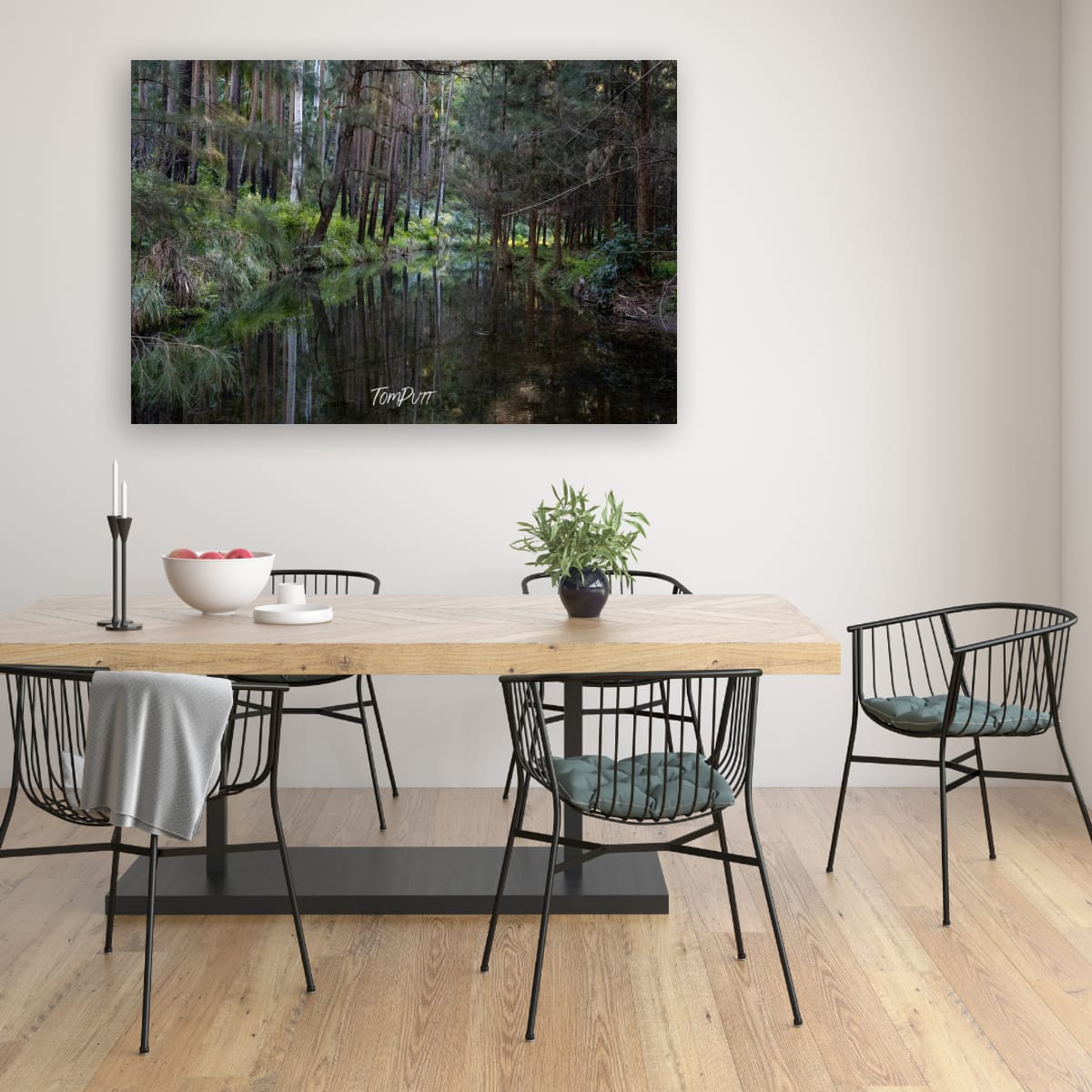 Carnarvon Gorge Reflection