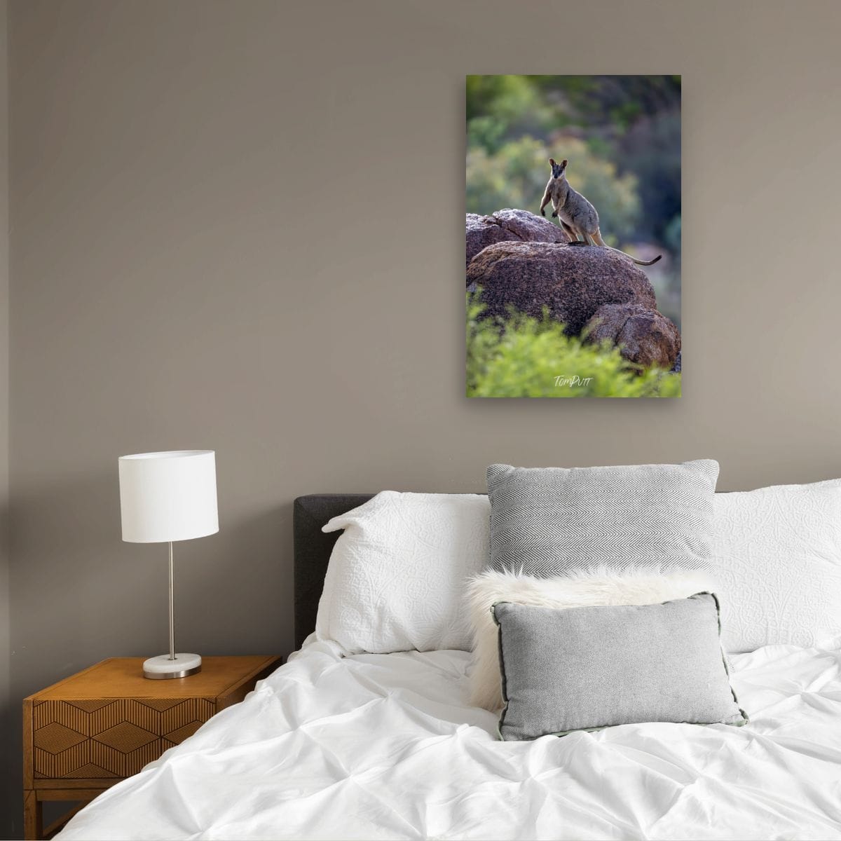 Sentinel. Purple-Necked Rock Wallaby