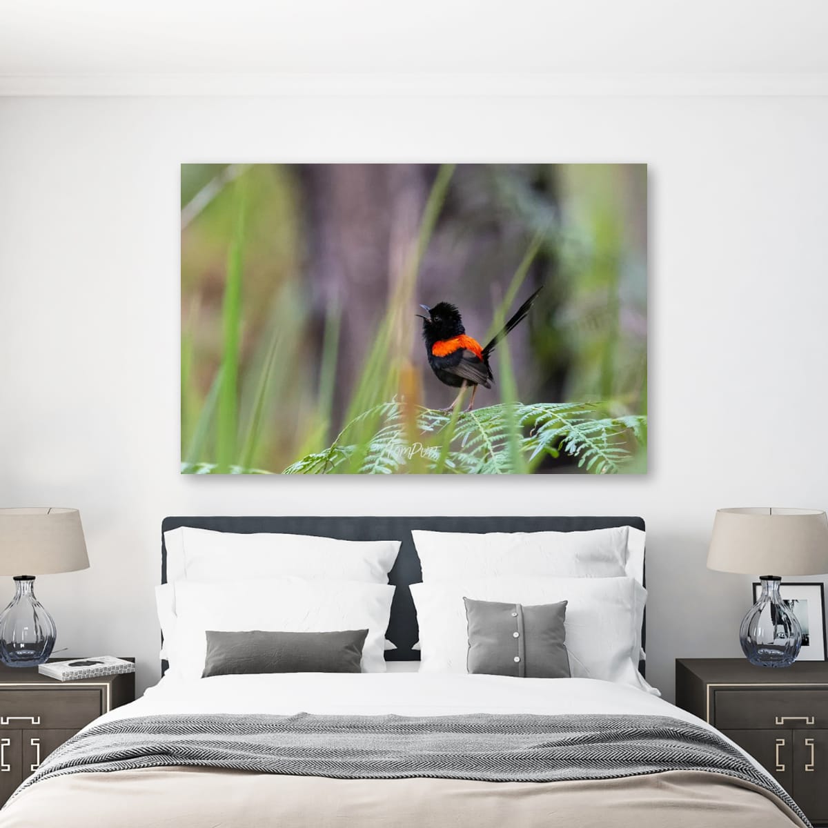 Call of the Red-Backed Fairy Wren