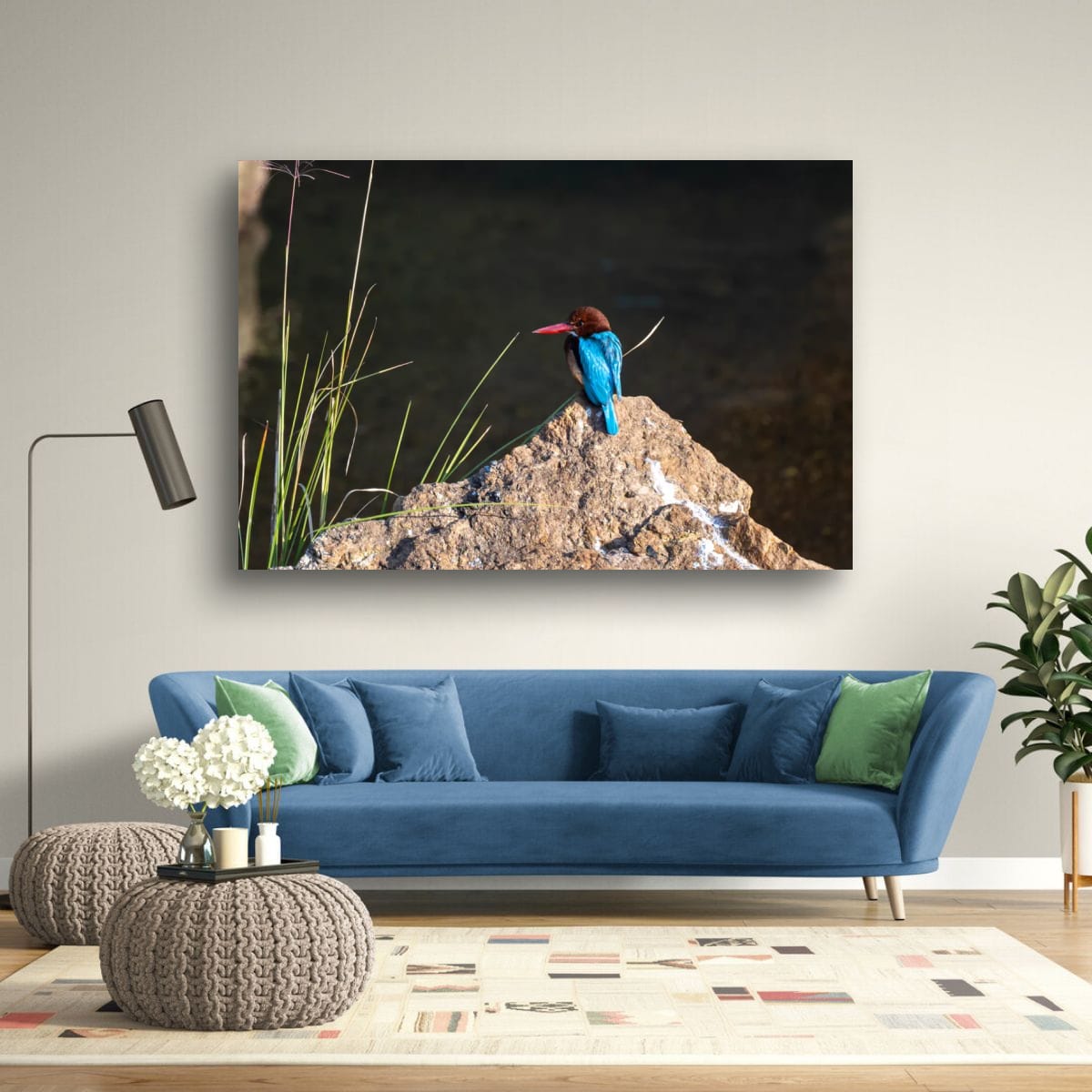 A Common Kingfisher, India
