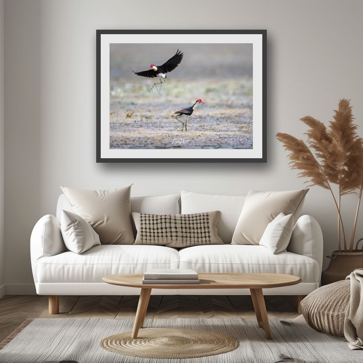 Comb-Crested Jacana Pair