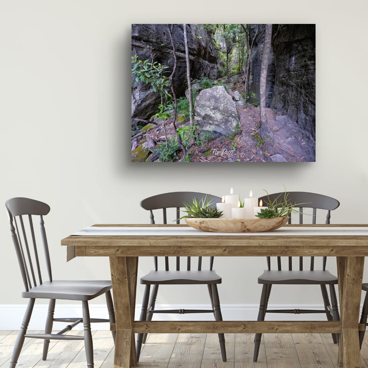 Carnarvon Gorge Path