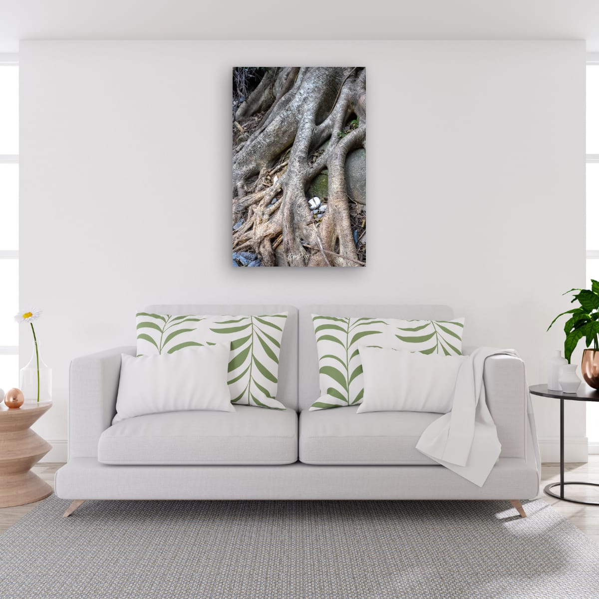 Tangled, Carnarvon Gorge