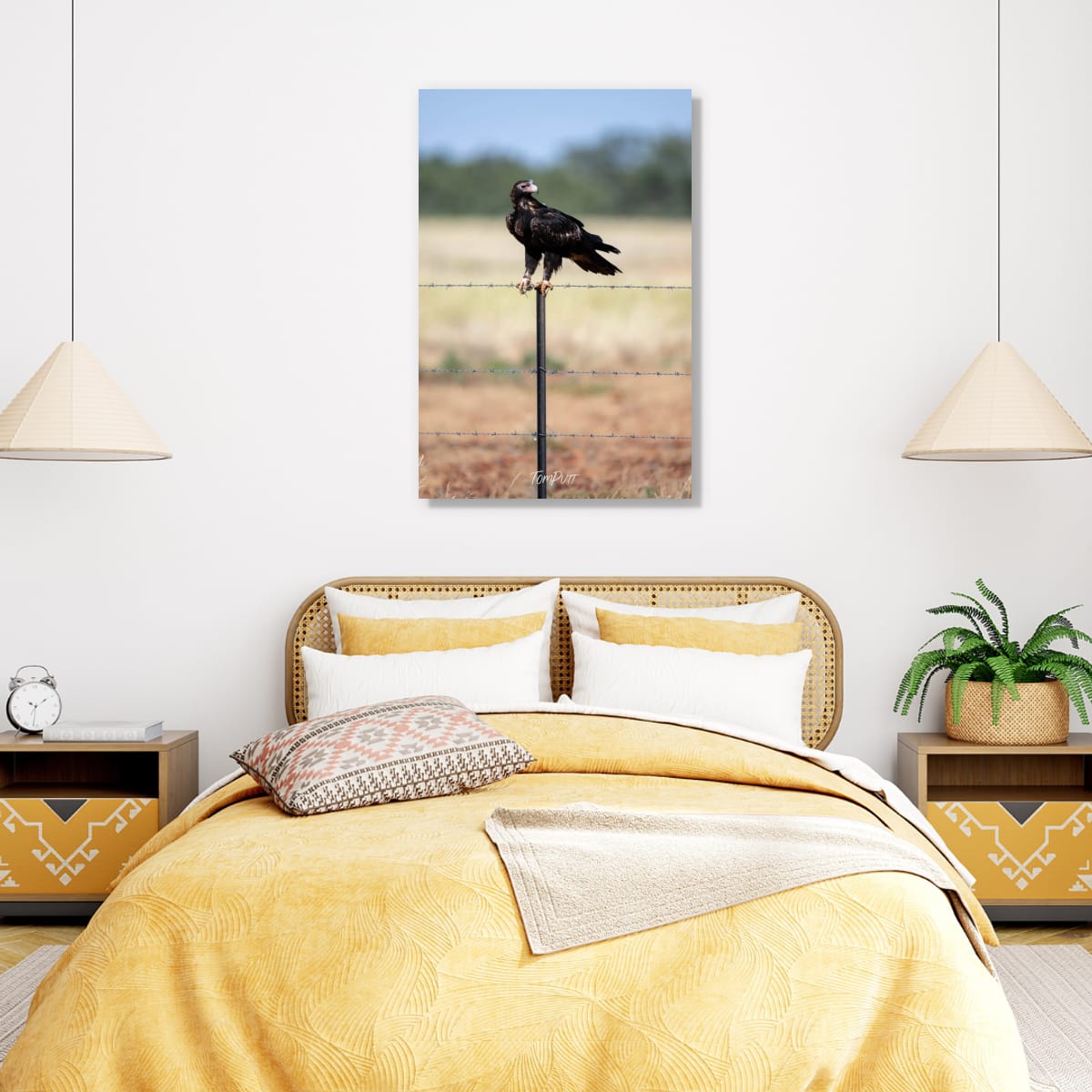 Perched. Wedge-Tailed Eagle