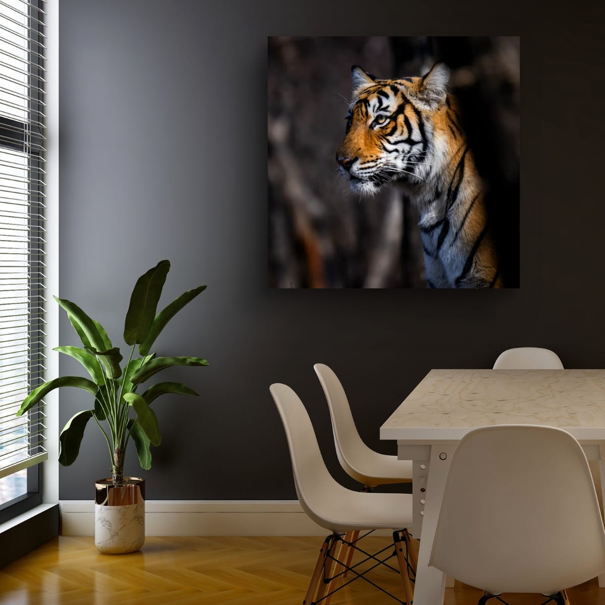 Tiger Portrait, India