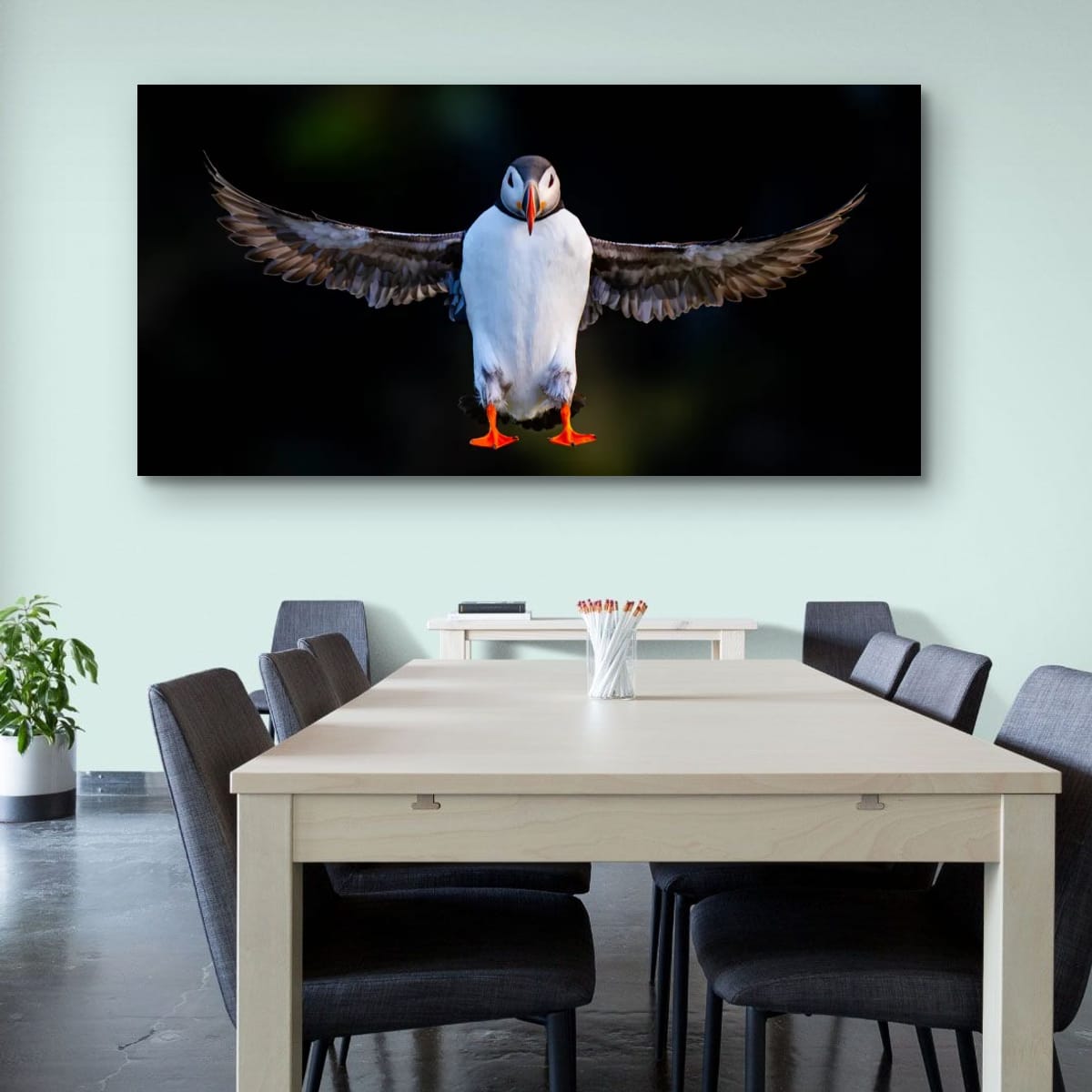 Levitating Atlantic Puffin