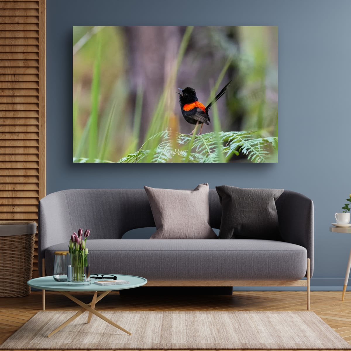 Call of the Red-Backed Fairy Wren