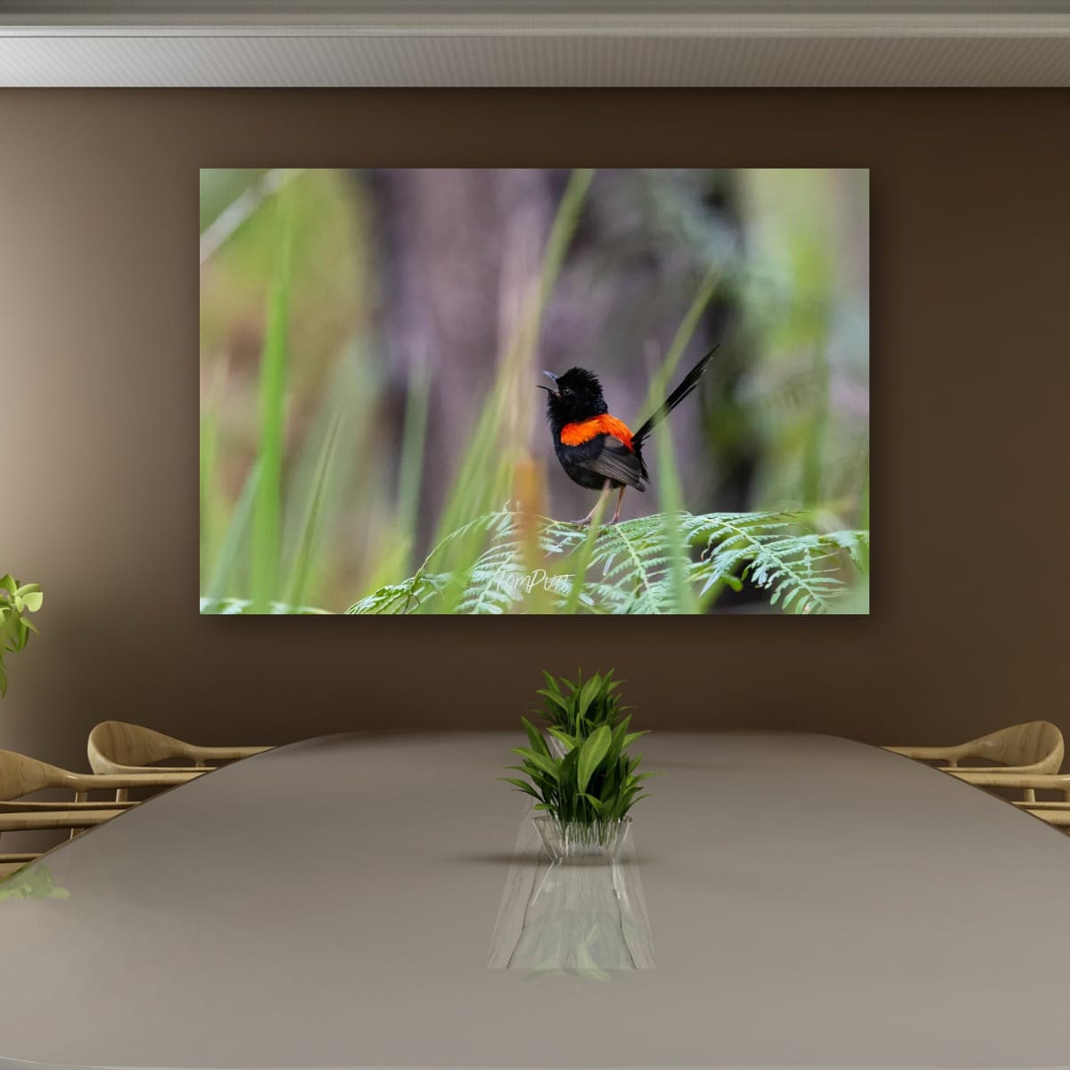 Call of the Red-Backed Fairy Wren