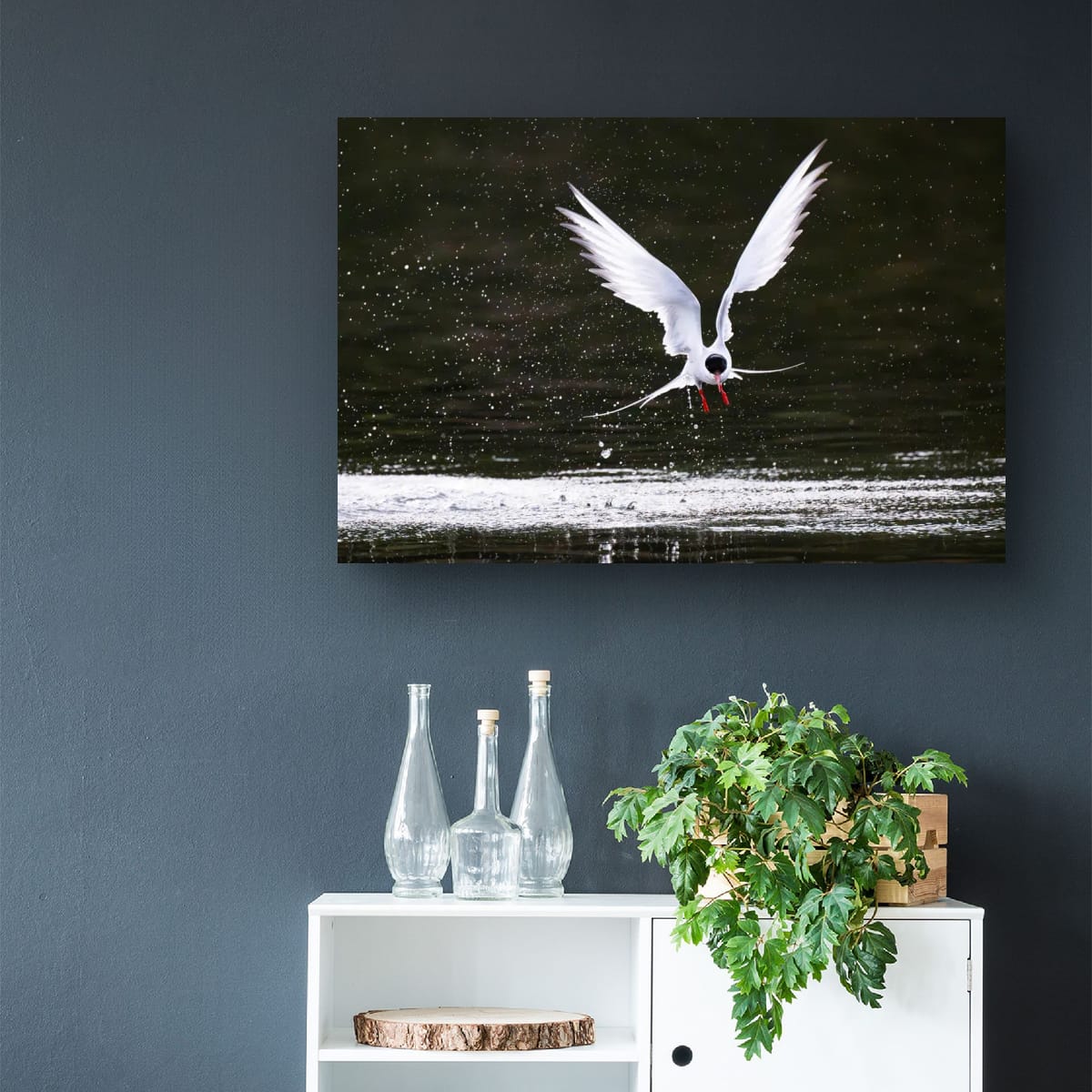Now Landing. Arctic Tern