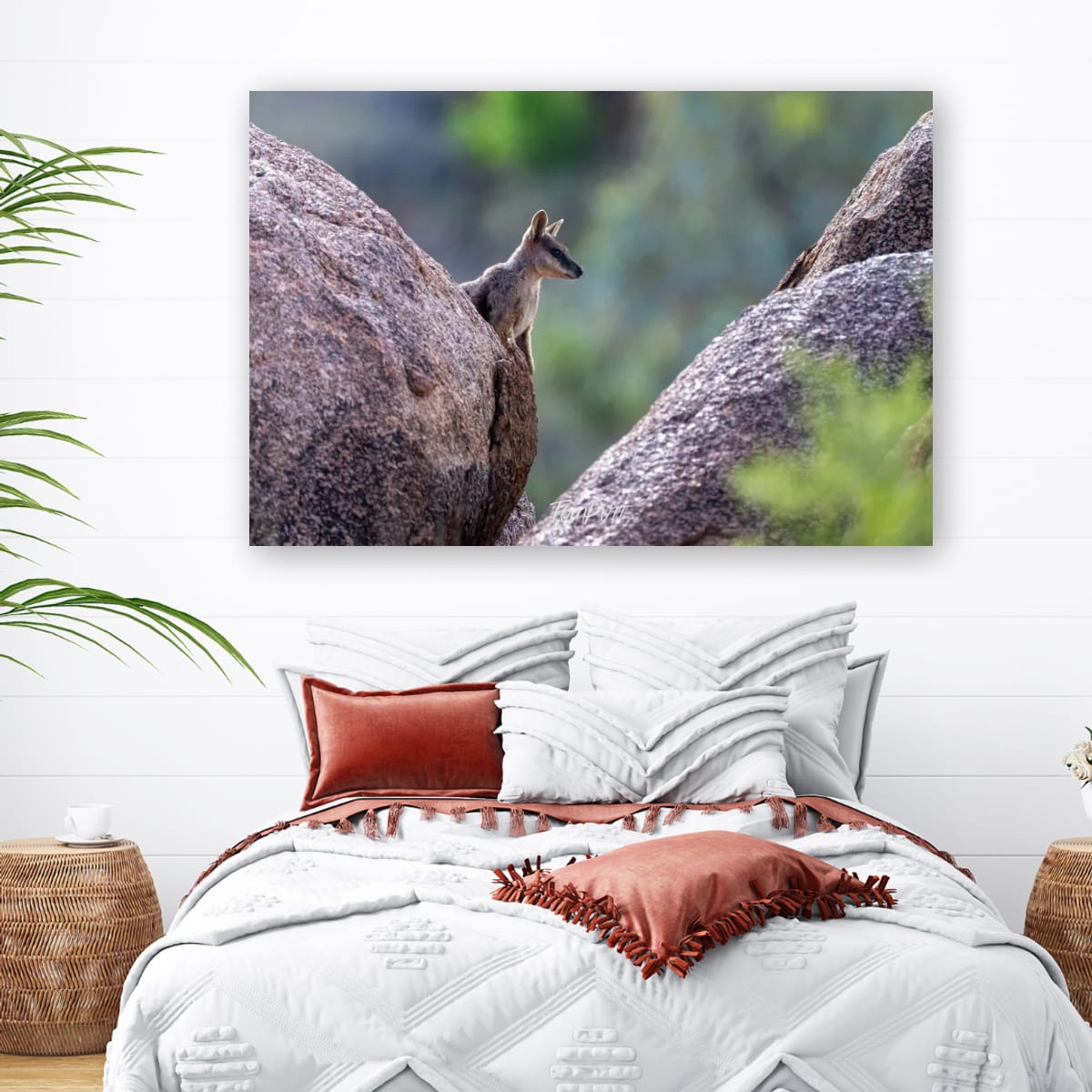 Inbetween. Purple-Necked Rock Wallaby