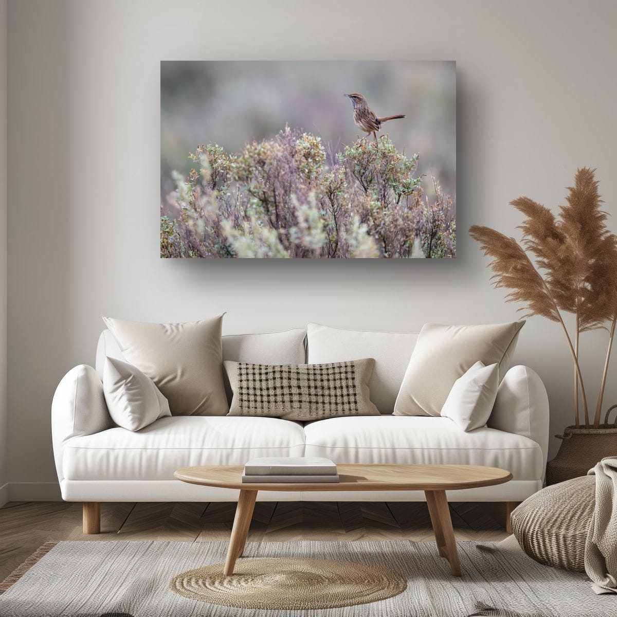 Rufous Fieldwren Sentinel