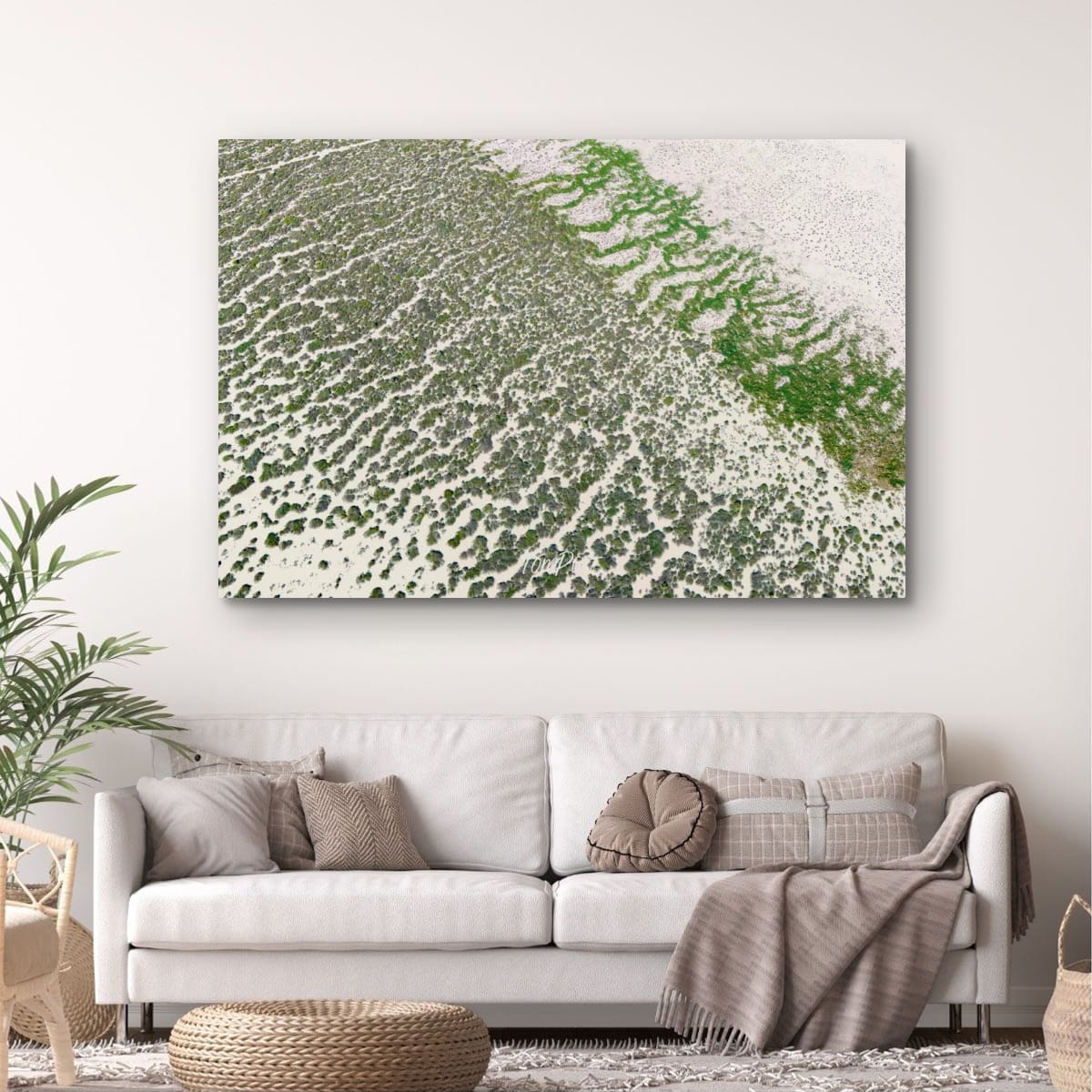 Channel Country Lace