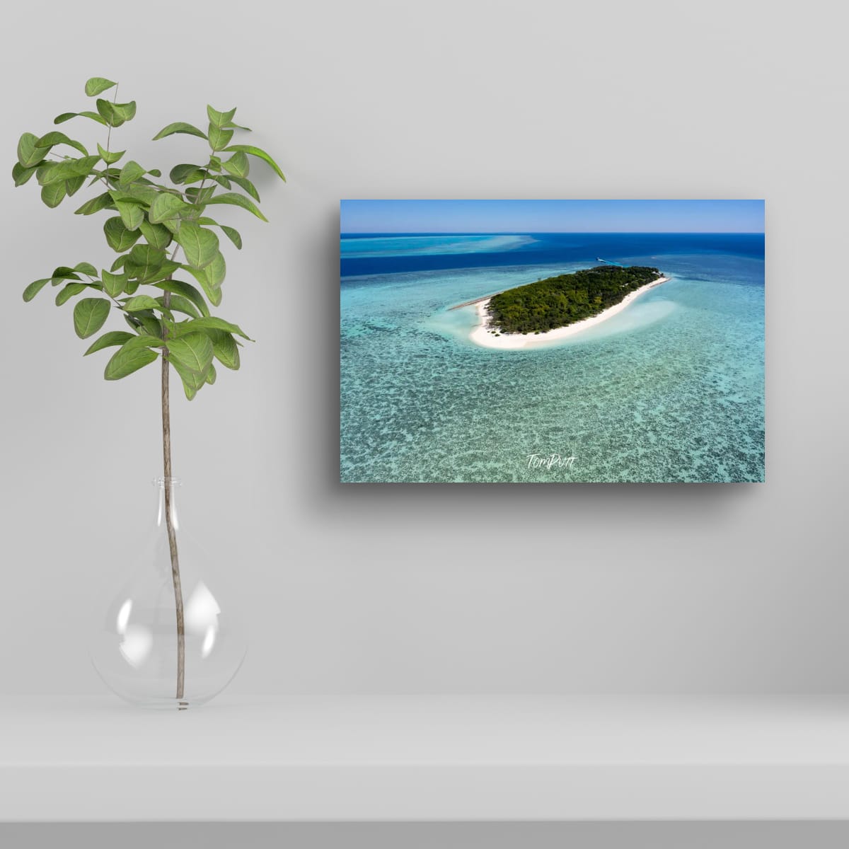 Wilson Island Escape