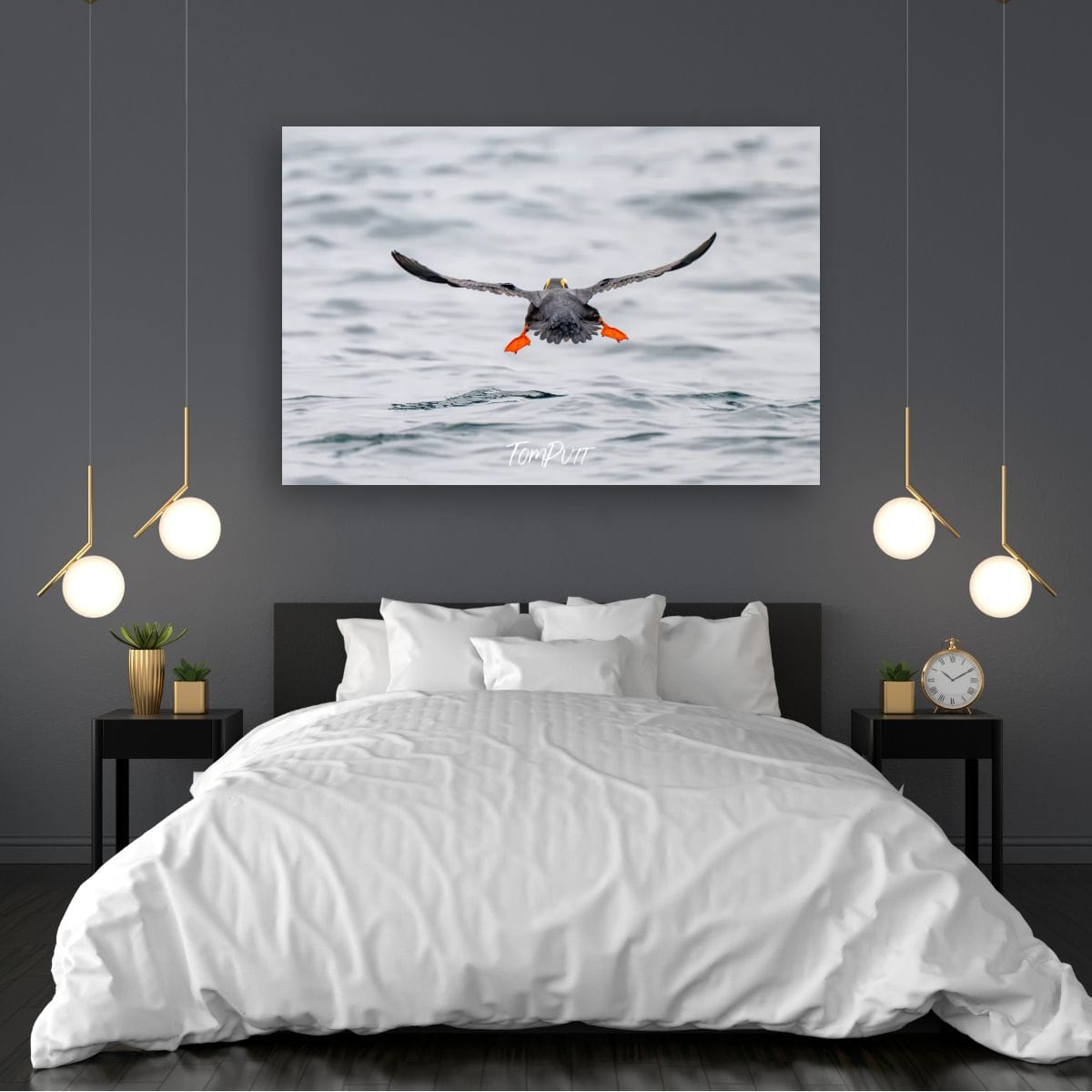 Wave Goodbye: Tufted Puffin