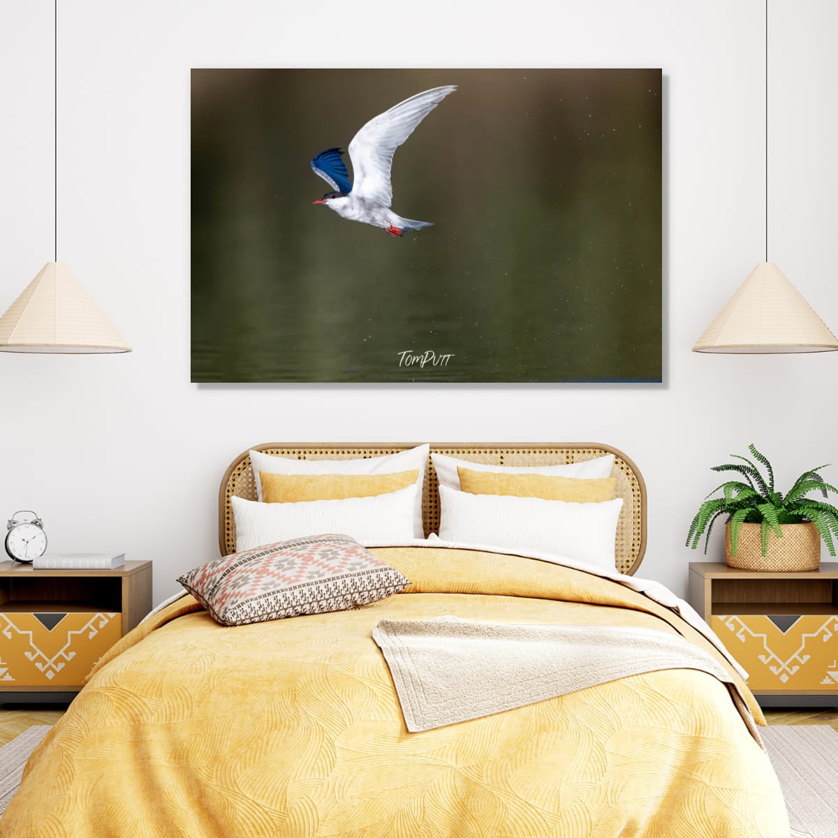 The Joy of Flight. Whiskered Tern