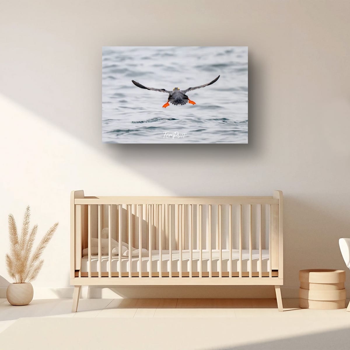 Wave Goodbye: Tufted Puffin