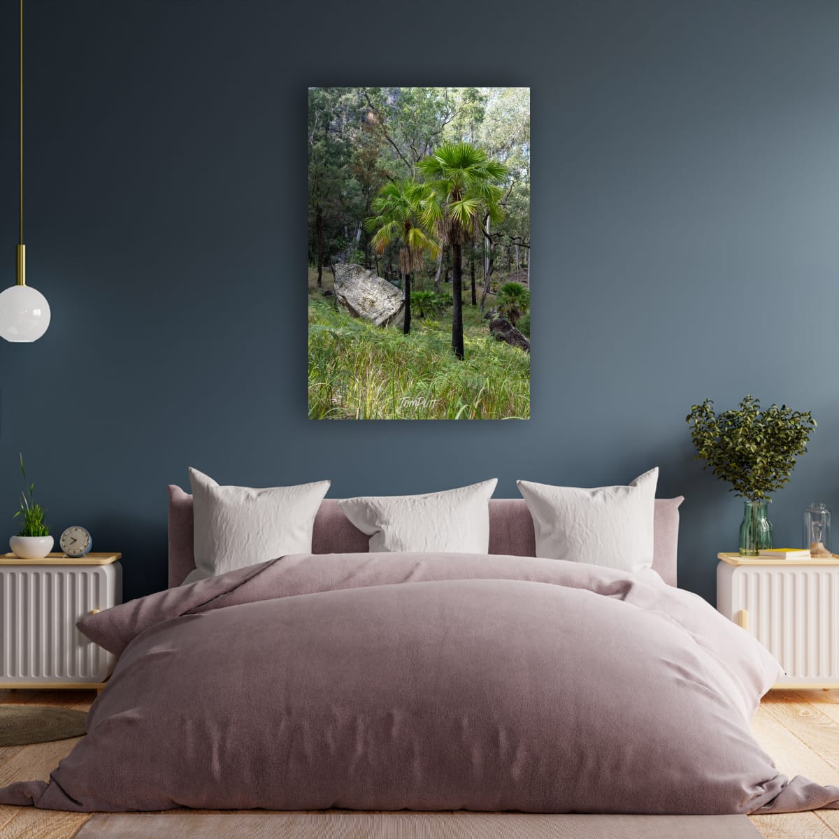 Carnarvon Gorge Palmscape