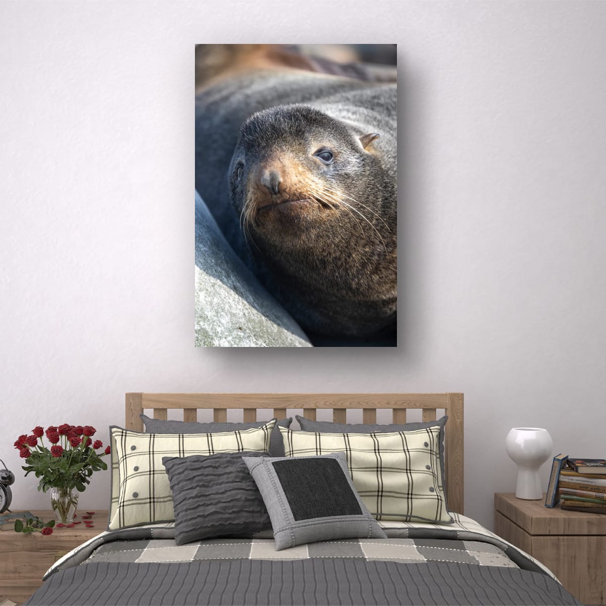 Resting Sea Lion