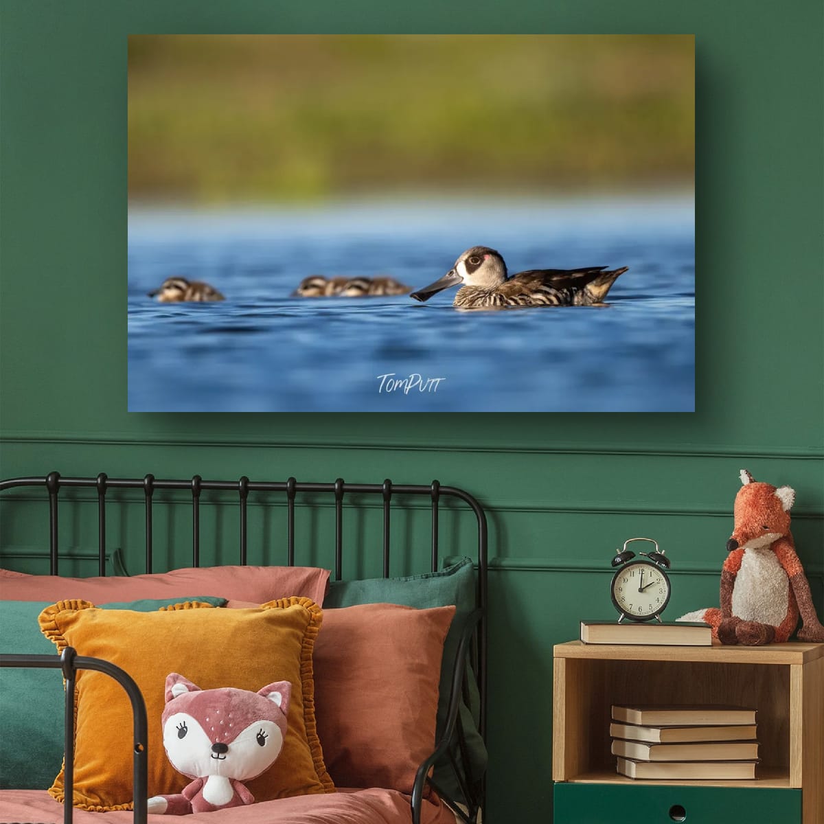 Watching the Kids. Pink-Eared Duck