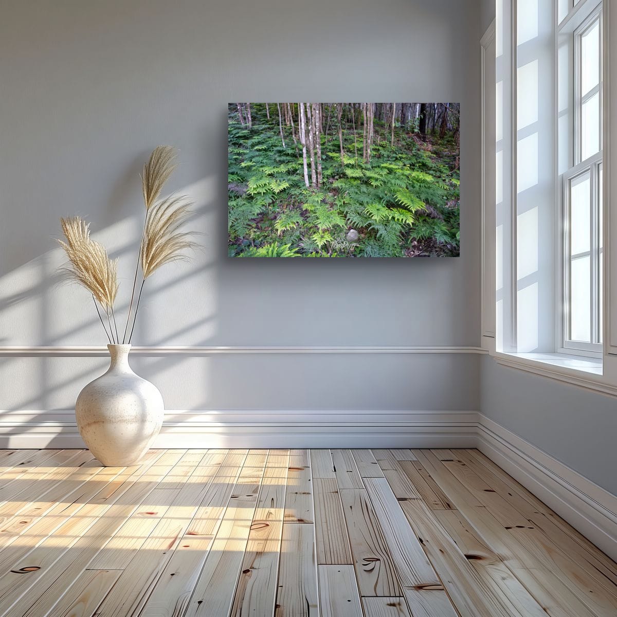 Ferny Floor, Carnarvon Gorge