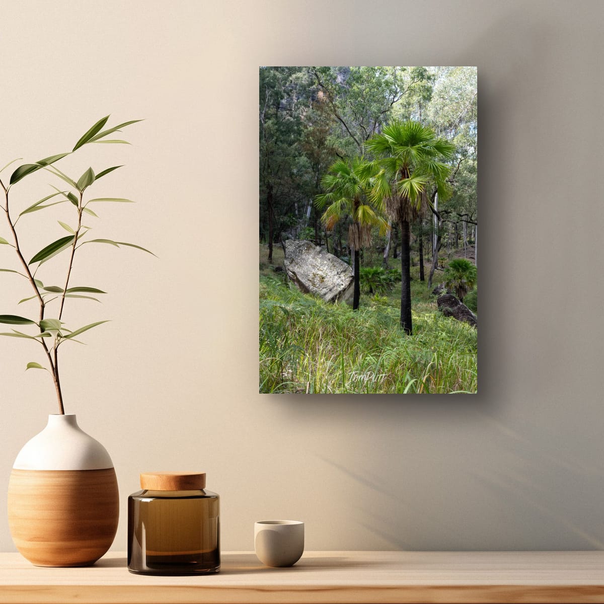 Carnarvon Gorge Palmscape