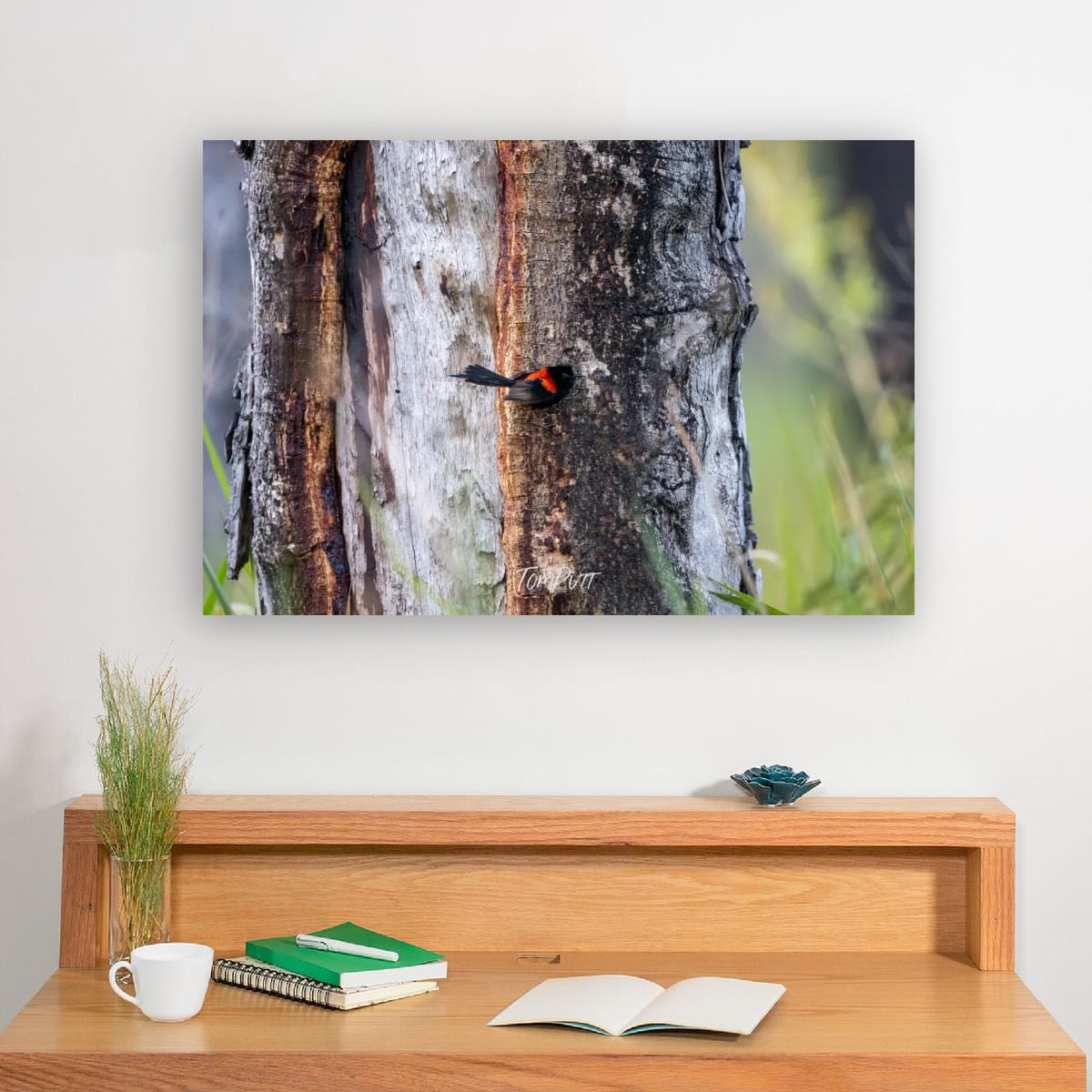 Bark Hopping Red-Backed Fairy Wren