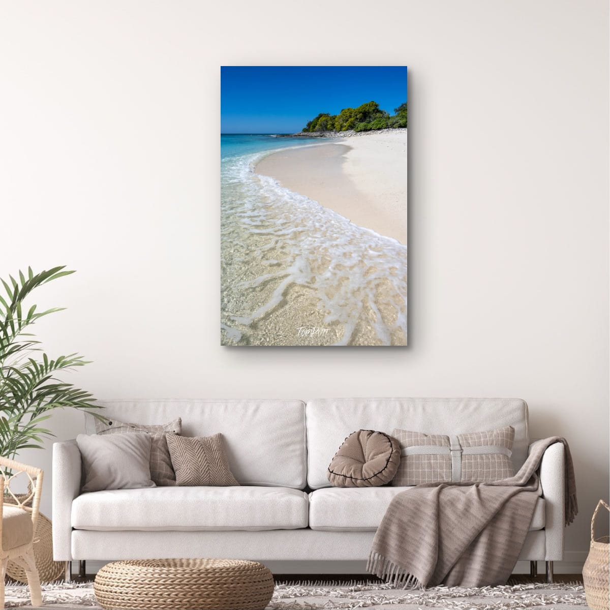 The Curve of the Shore